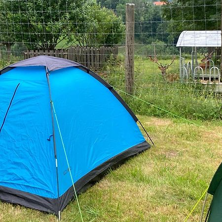 Camping F Selbstversorger Gut Jagerhof Semriach エクステリア 写真